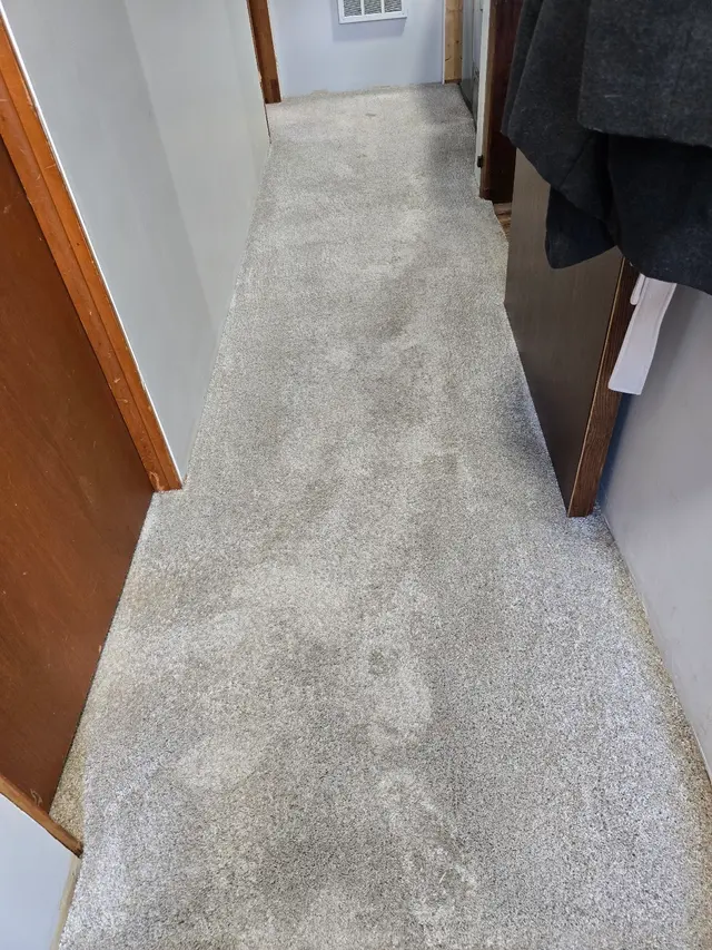 JBRS Carpet Cleaning & Restoration — customer photo 2