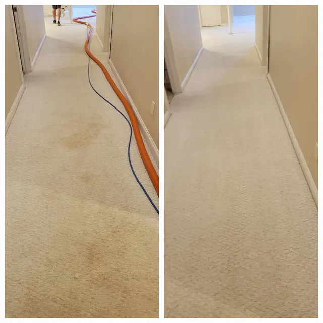 JBRS Carpet Cleaning & Restoration — photo from the business 6