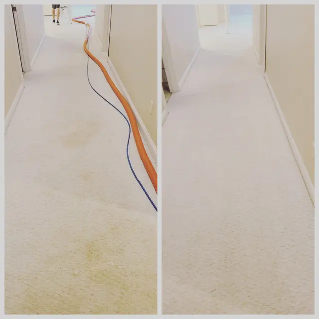 JBRS Carpet Cleaning & Restoration — photo from the business 7