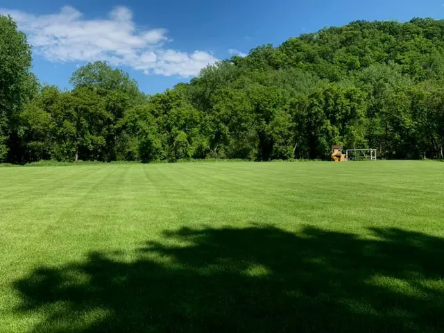 G3 Fertilizing and Weed Control — photo from the business 8