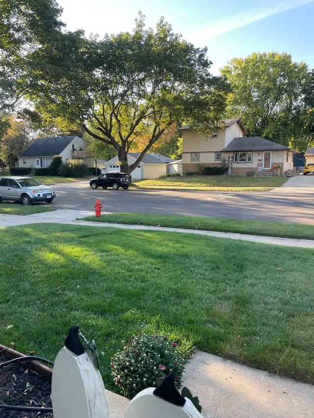 Spring Green — customer photo 10