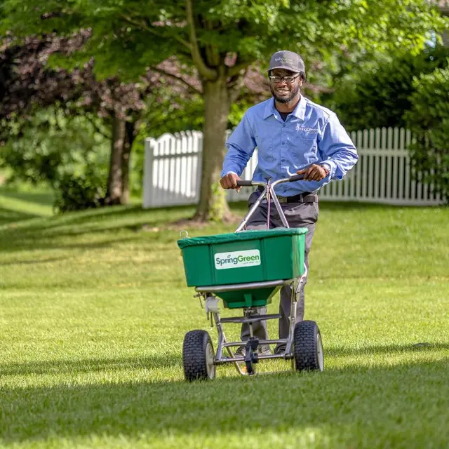 Spring Green — photo from the business 5