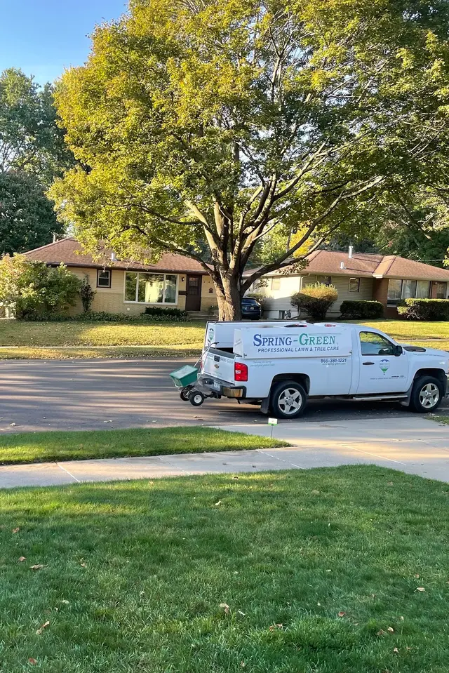 Spring Green — customer photo 7