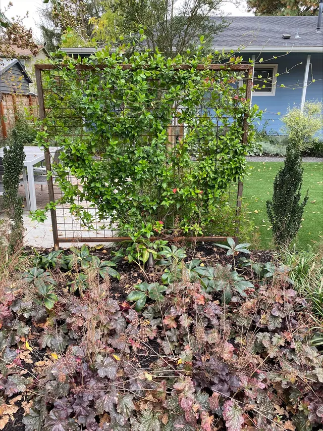 Creekscape Design LLC Landscape Design & Installation, Retaining Walls, Garden Design — photo from the business 1