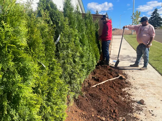 Lakewood Landscape & Construction LLC — photo from the business 10