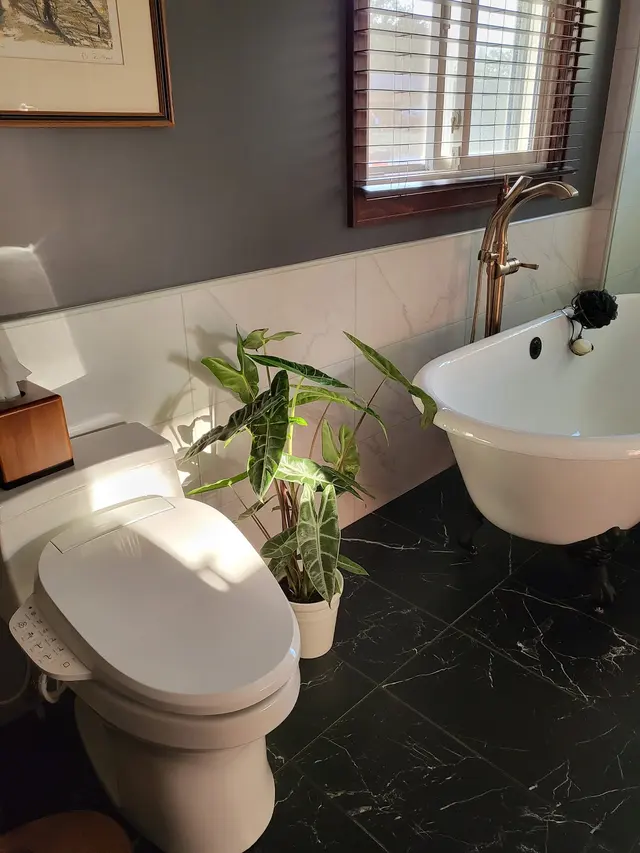 Customer photo of work by Proformance Construction, from Cathy Fischer's review