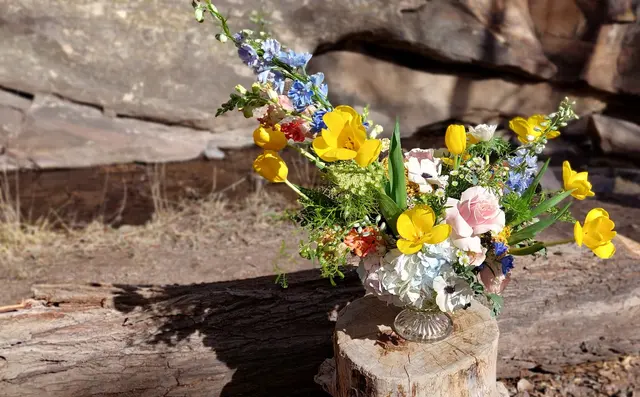 PREMIER PHOTO PRODUCTIONS LLC — customer photo 12