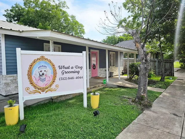 What A Dog Grooming — photo from the business 6