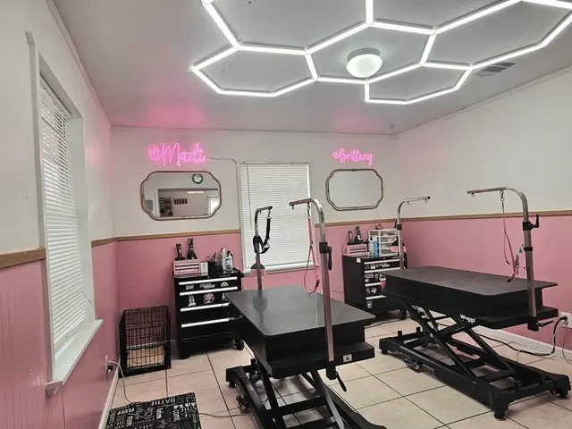 What A Dog Grooming — photo from the business 12