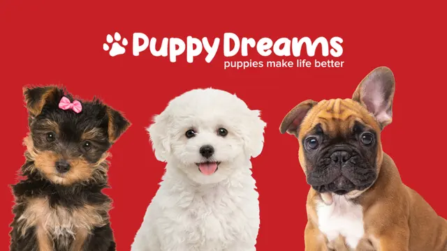 Puppy Dreams - Round Rock — photo from the business 2
