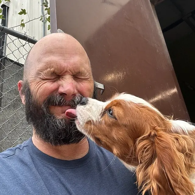 Hip Hounds — photo from the business 7