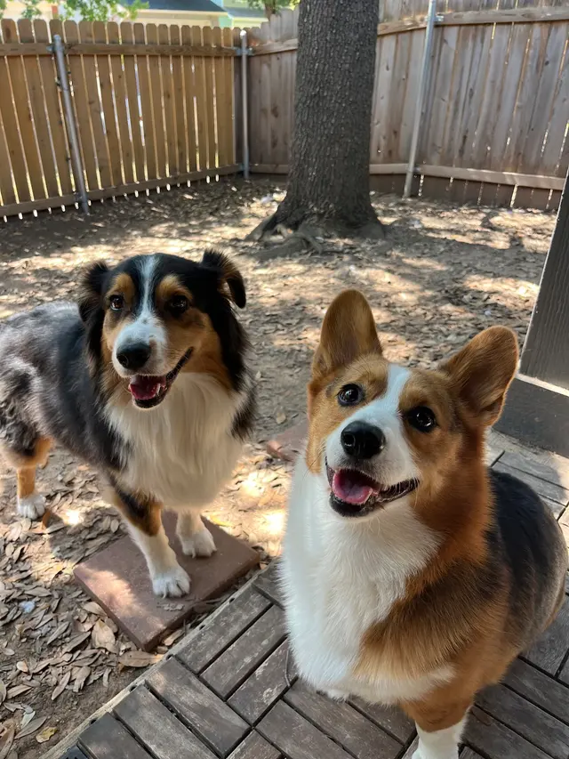 Customer photo from Madison's review
