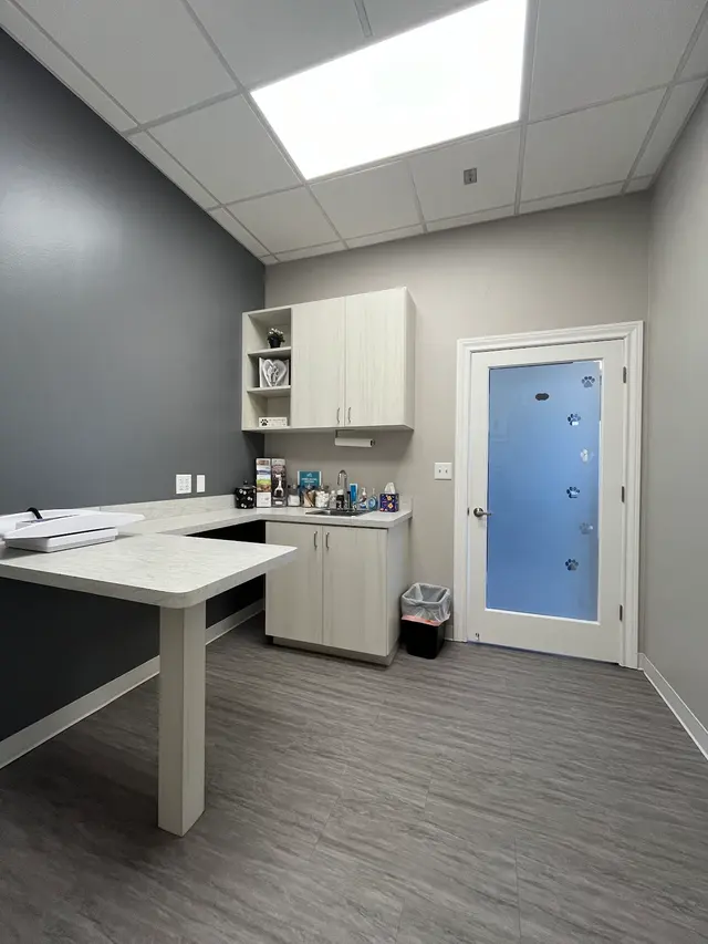 Paw Haven Animal Hospital — customer photo 11