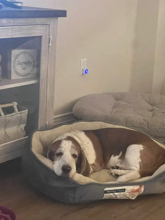 Paw Haven Animal Hospital — customer photo 12