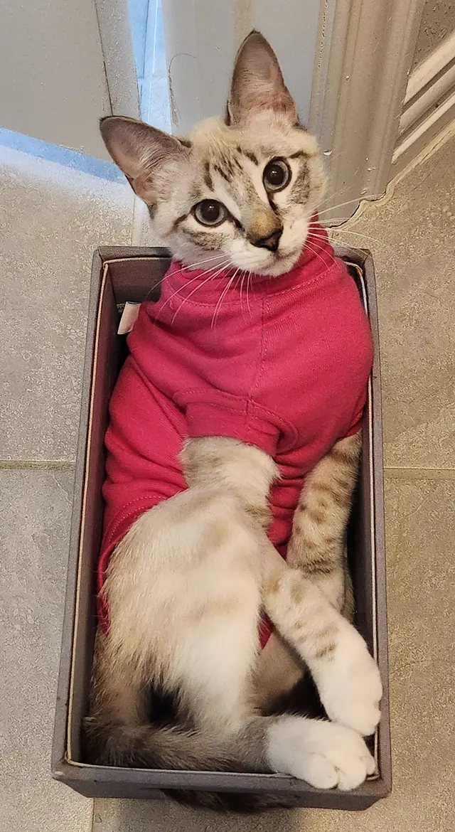 Paw Haven Animal Hospital — customer photo 3