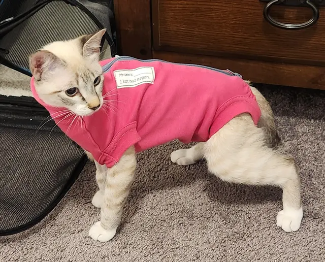 Paw Haven Animal Hospital — customer photo 8