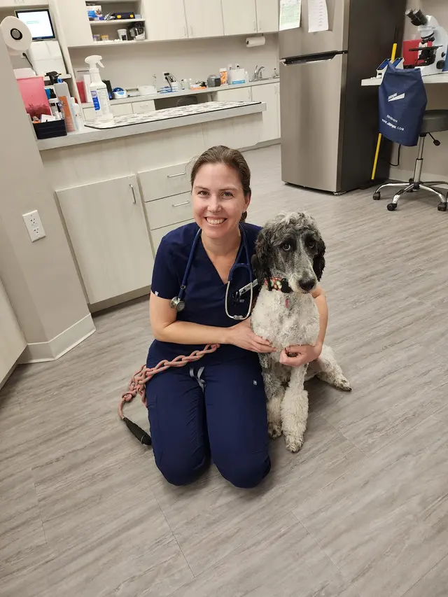 Paw Haven Animal Hospital — customer photo 6