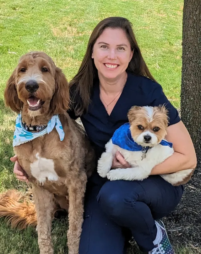 Paw Haven Animal Hospital — photo from the business 4