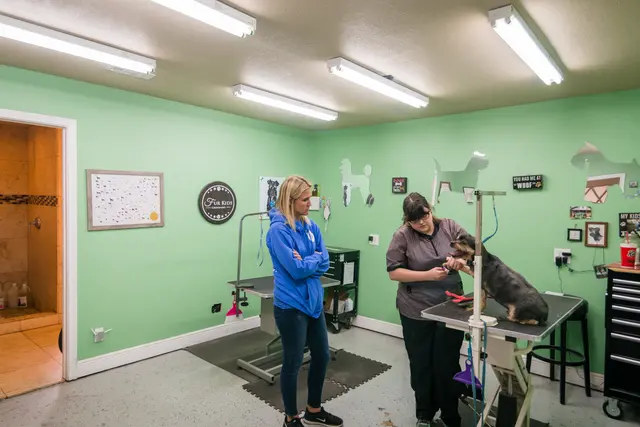 Shady Acres Pet Ranch — photo from the business 12