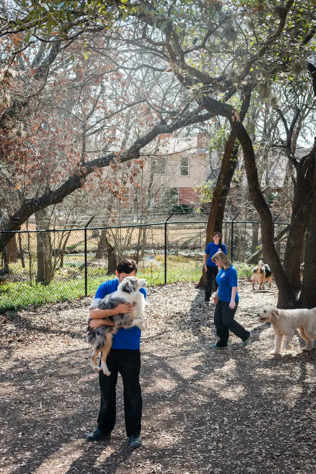 Shady Acres Pet Ranch — photo from the business 10
