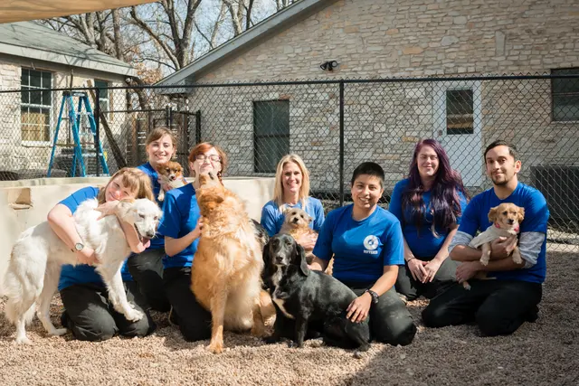 Shady Acres Pet Ranch — photo from the business 2