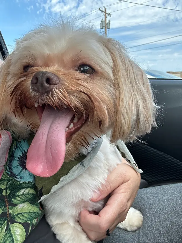 Shady Acres Pet Ranch — customer photo 4