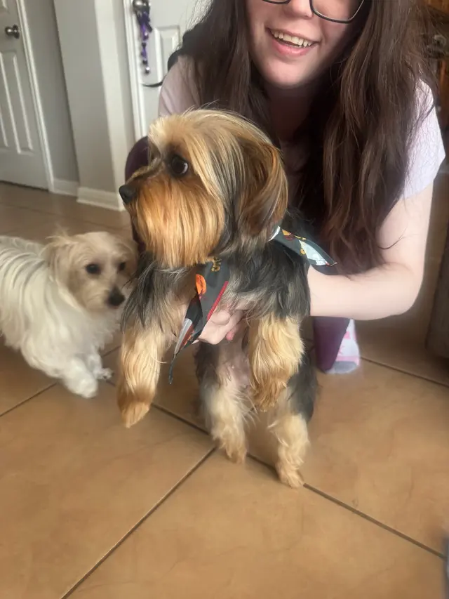 Customer photo from C's review