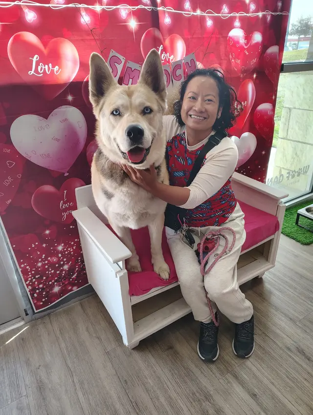 Woof Gang Bakery & Grooming Hutto — customer photo 9