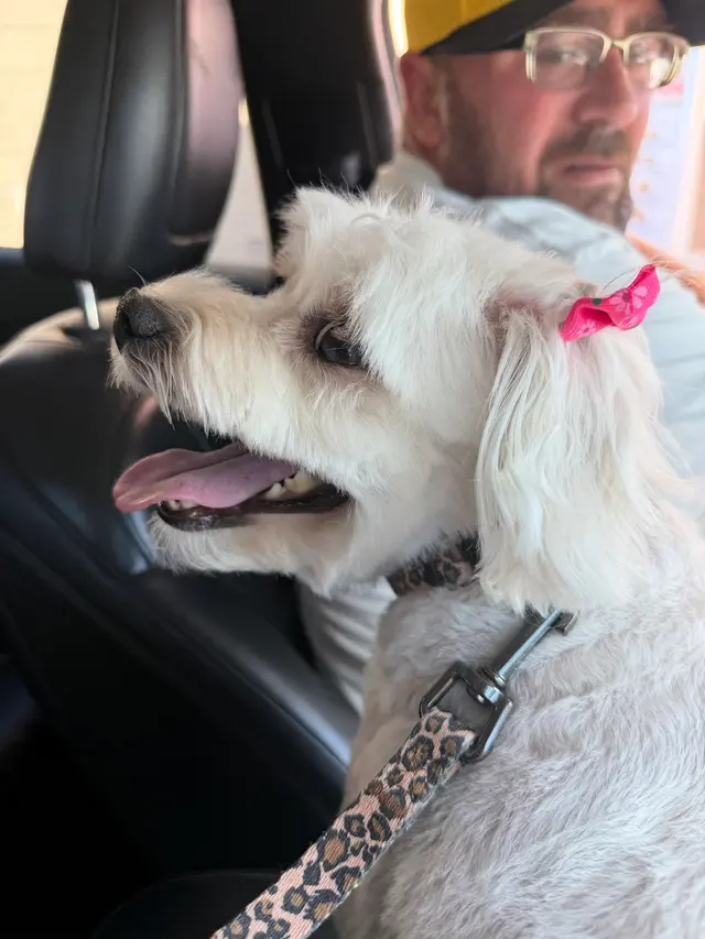 Woof Gang Bakery & Grooming Hutto — customer photo 3