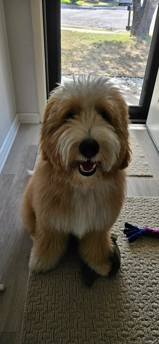 Customer photo from Sunny's review