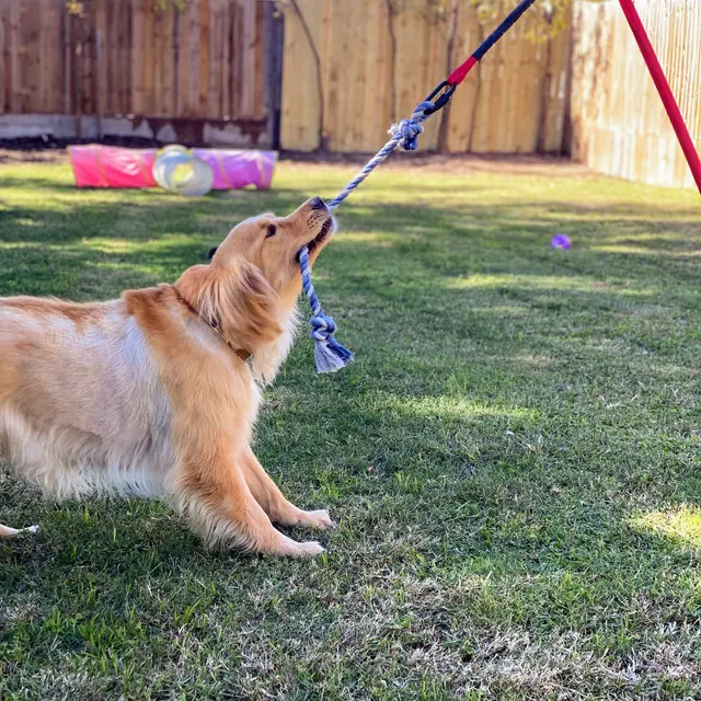 Amie's At Home Pet Care — photo from the business 4