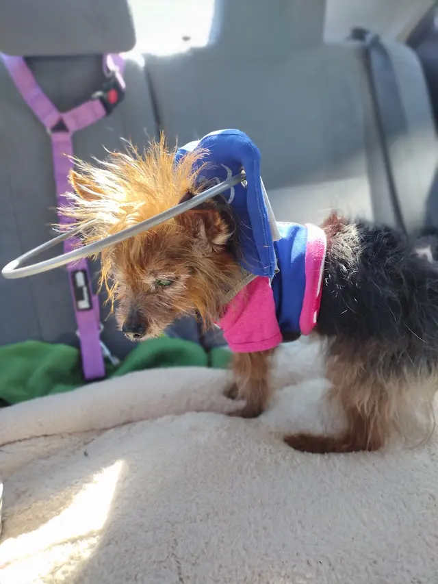 Wild and Wonderful Veterinary Services — customer photo 5