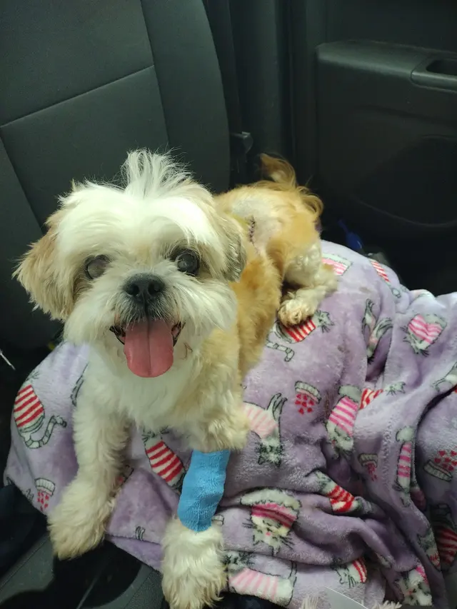 Wild and Wonderful Veterinary Services — customer photo 12