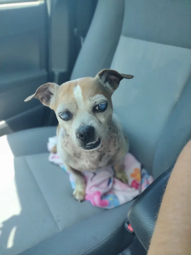 Wild and Wonderful Veterinary Services — customer photo 8