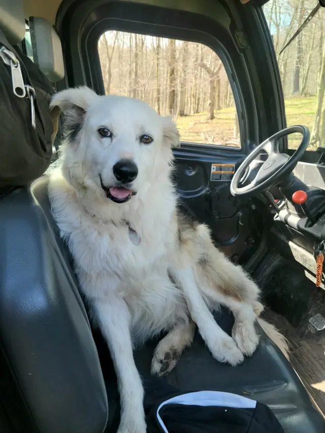 Wild and Wonderful Veterinary Services — customer photo 10