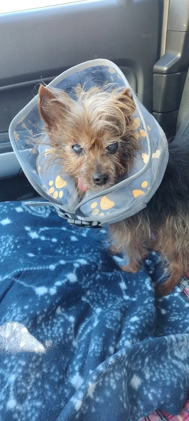 Wild and Wonderful Veterinary Services — customer photo 4