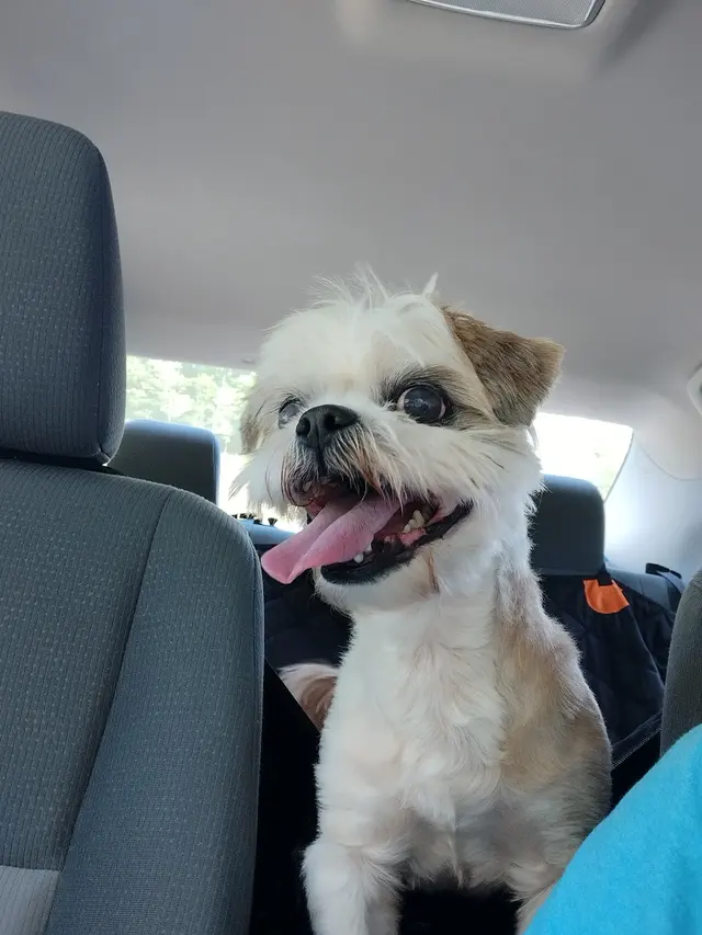 Wild and Wonderful Veterinary Services — customer photo 2