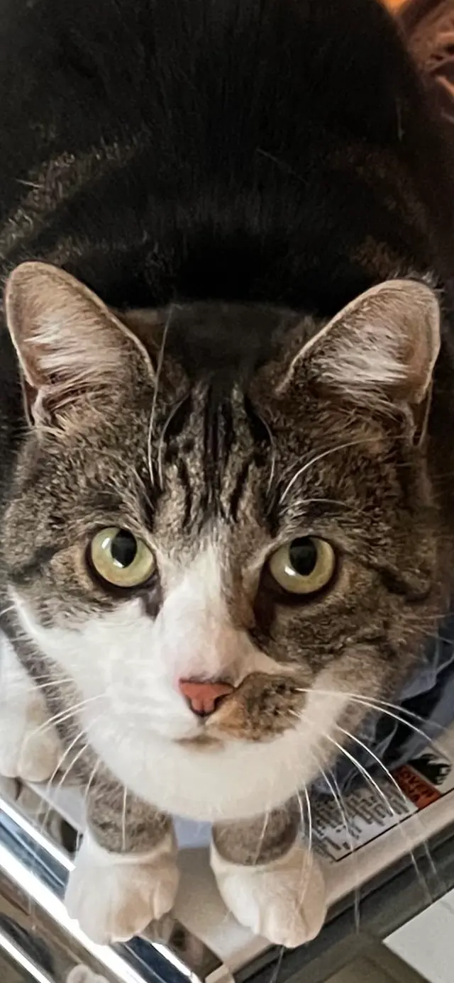 Wild and Wonderful Veterinary Services — customer photo 7