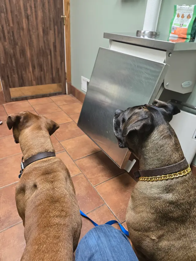Wild and Wonderful Veterinary Services — customer photo 9
