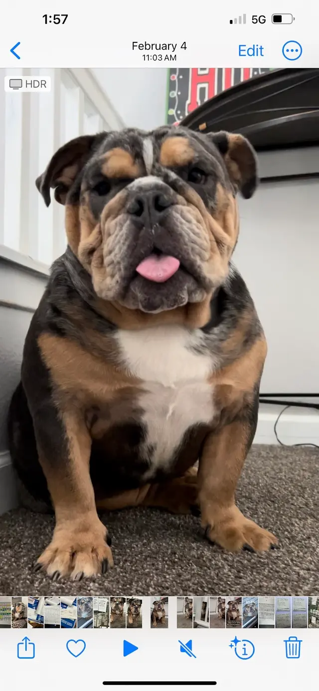 Customer photo from Neva's review