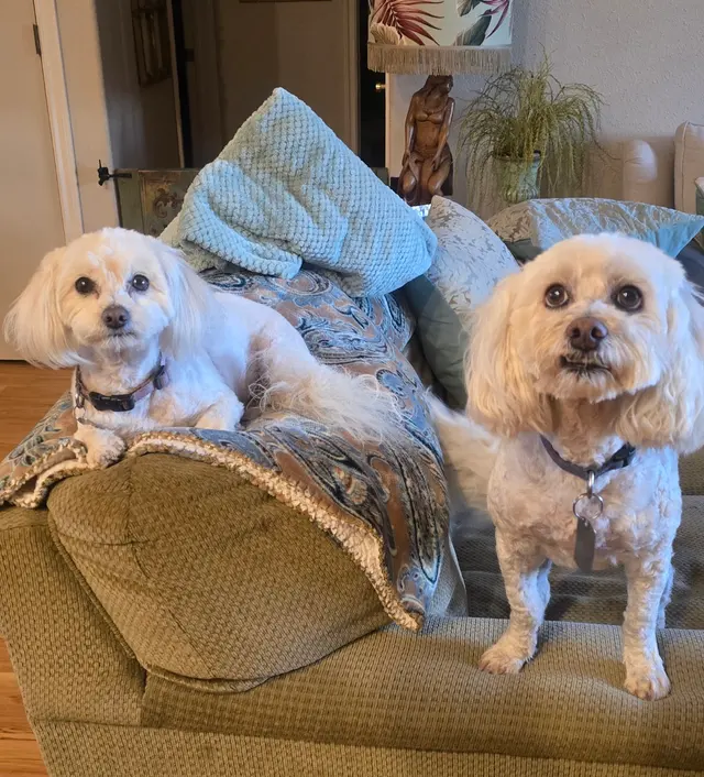Customer photo from Shellie's review