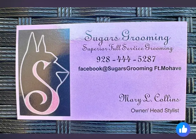 Customer photo from Jill's review