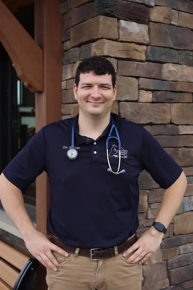 Allegheny Equine Veterinary Service — photo from the business 5