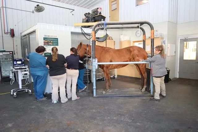 Allegheny Equine Veterinary Service — photo from the business 1