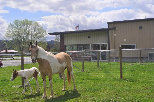 Allegheny Equine Veterinary Service — photo from the business 9
