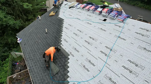 Pro Gen Roof Repair & Installation — photo from the business 1