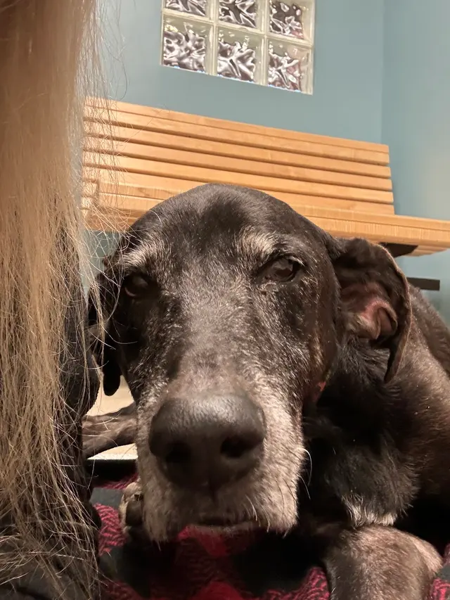 Appalachian Animal Hospital — customer photo 4