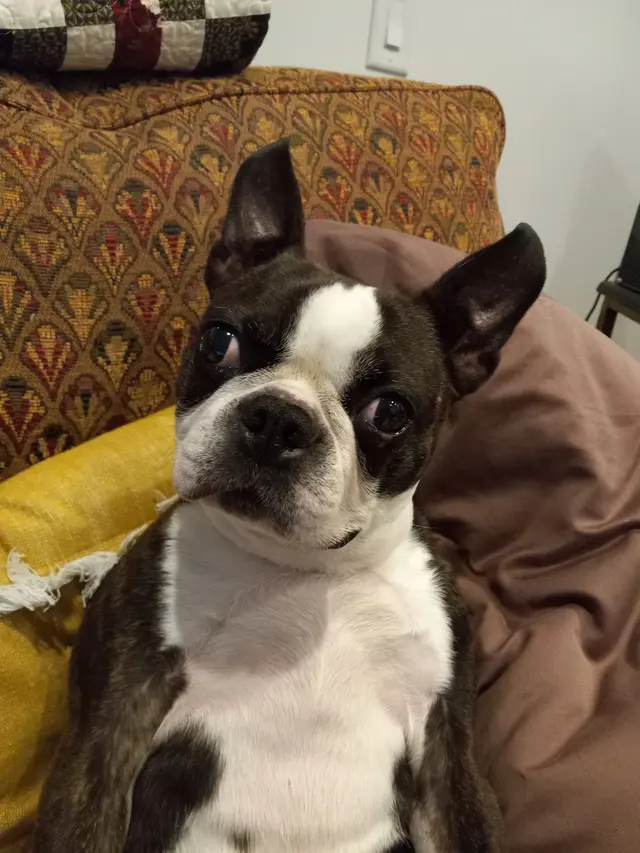 Appalachian Animal Hospital — customer photo 3