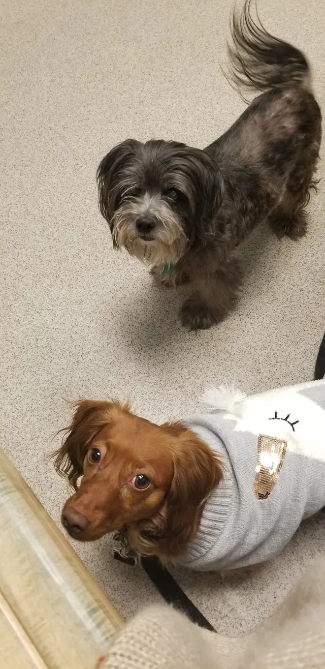 Appalachian Animal Hospital — customer photo 9