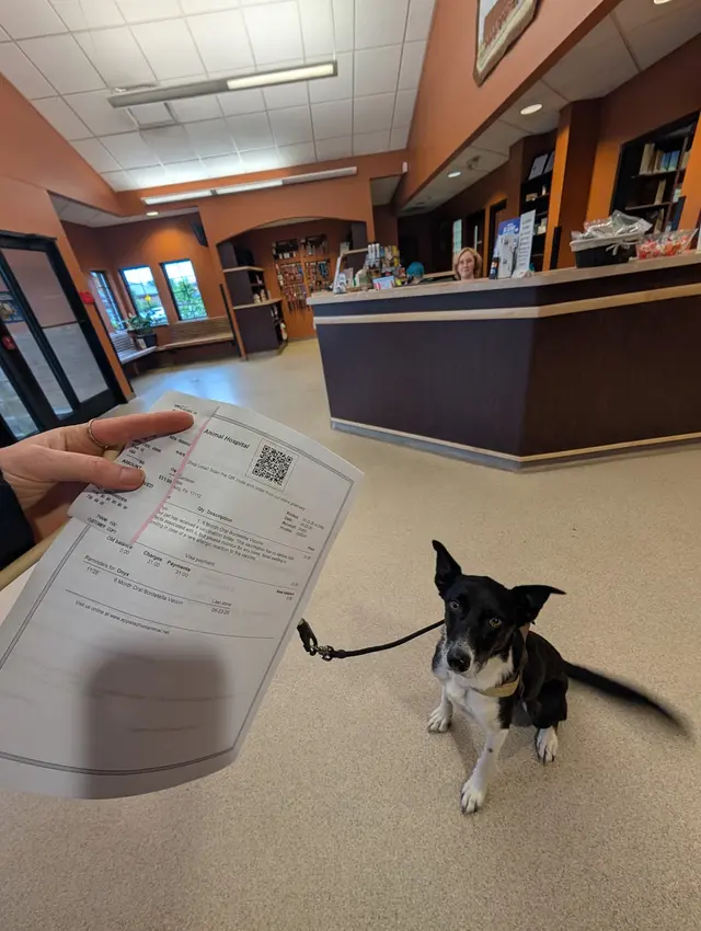 Appalachian Animal Hospital — customer photo 10